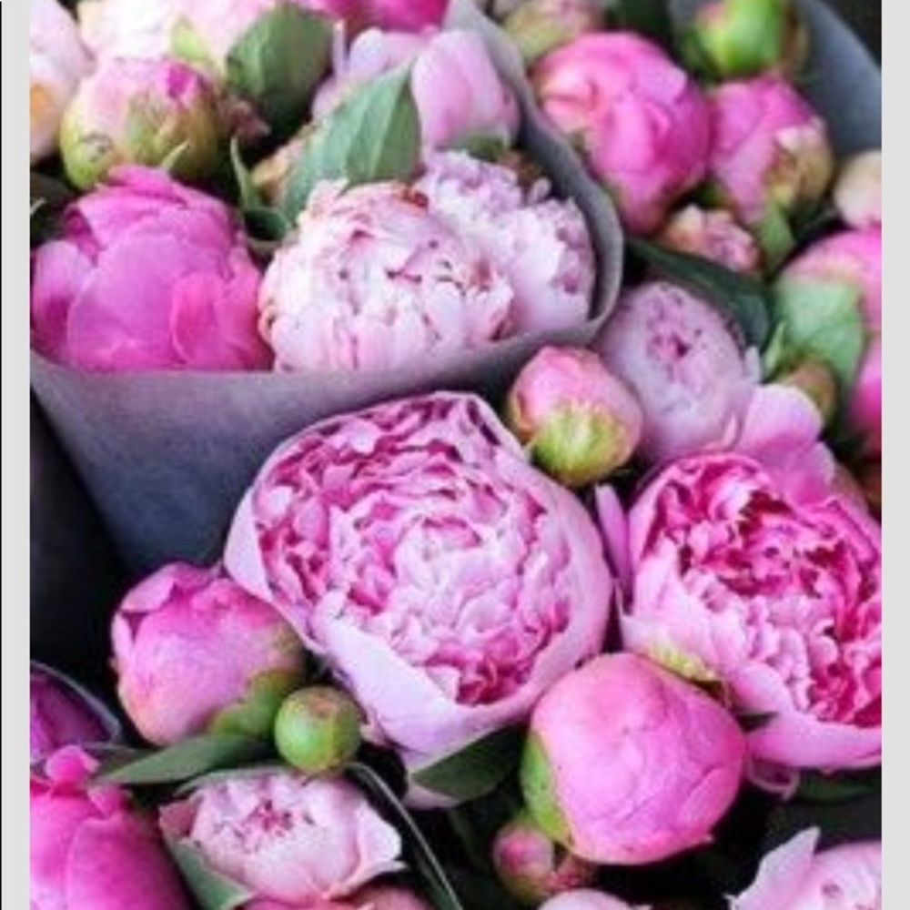 Meet your Posher, Bianca